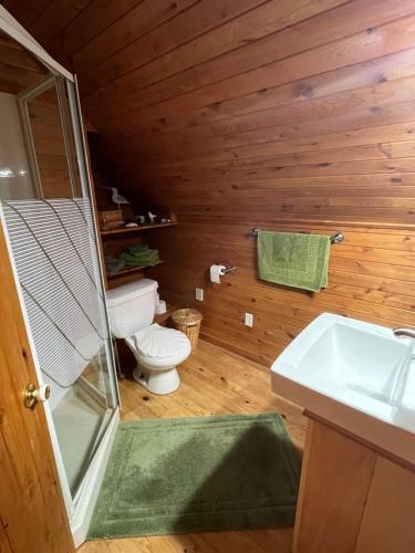 een badkamer met toilet en wastafel bij B&B Art of Germany in Caledonia