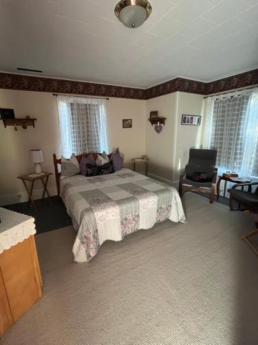 een slaapkamer met een bed, een televisie en ramen bij B&B Art of Germany in Caledonia