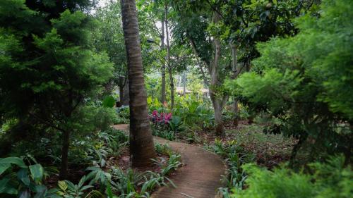einen Weg durch einen Garten mit Bäumen und Blumen in der Unterkunft Trisara Boutique Stay in Mysore