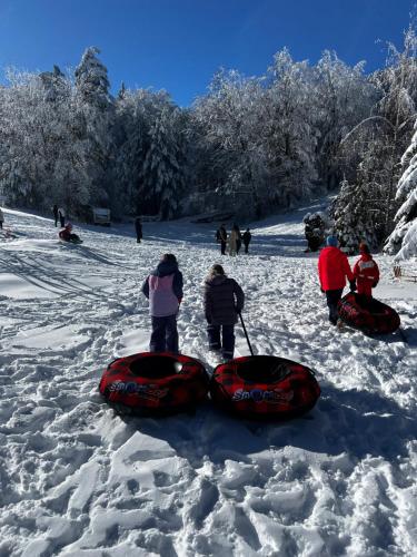 een groep mensen die in de sneeuw naast Twoairs staan bij Фокс Хаус FOX HOUSE in Peshtera