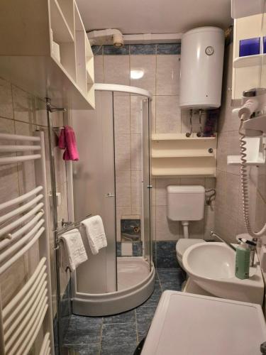 a small bathroom with a shower and a toilet at Apartman Savic Jahorina in Jahorina