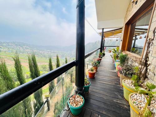 - un balcon avec une bande de plantes en pot dans l'établissement Valley homes, à Ooty