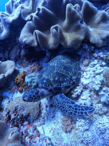 Galeriebild der Unterkunft 等等浪 in Green Island