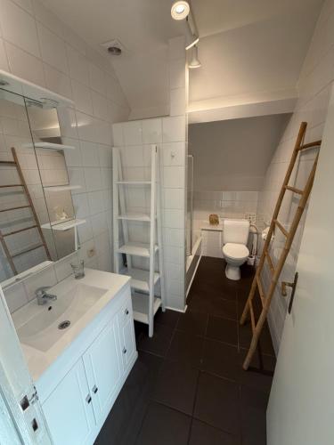 een badkamer met een wastafel en een toilet bij Les 3 chapeaux Dinant 6p Les canotiers 4p avec terrasse Le melon 2p SANS terrasse in Dinant
