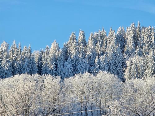 Nad Strumieniem om vinteren