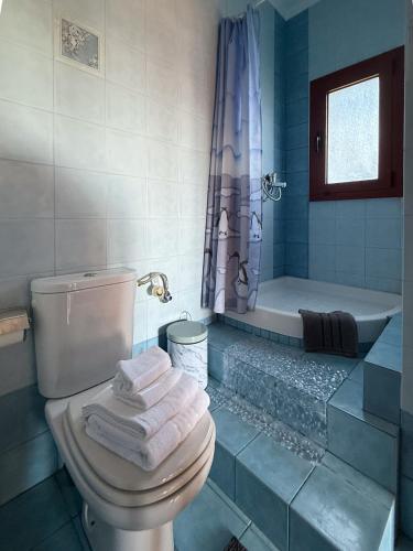 a bathroom with a toilet and a bath tub at Villa Palmera 100m from the beach in Nikiti