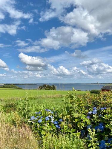 a field with flowers and the ocean in the background at Summer House With Panoramic View Near Doverodde in Doverodde