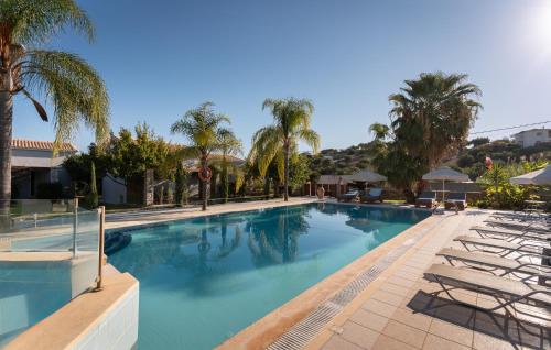 a large swimming pool with chairs and palm trees at Dion Zois in Finikounta
