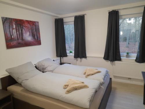 een bank met twee kussens in een kamer met ramen bij Boardinghaus Waldesruh in Lohne