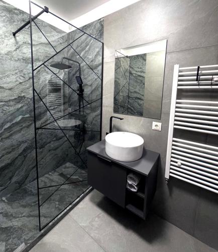 een badkamer met een wastafel en een glazen douche bij LuRo Loft Otopeni in Otopeni