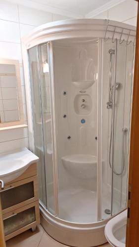a bathroom with a shower and a sink at Kuća za odmor Diva Blidinje, Risovac 455 in Blidinje