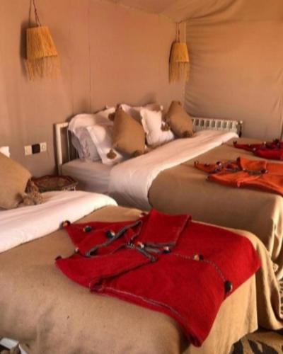 En eller flere senge i et værelse på Sahara Luxe Camp