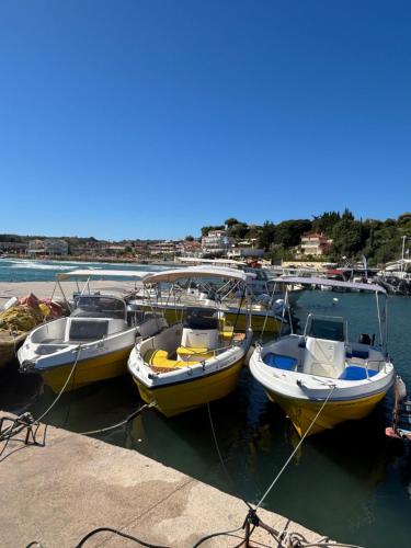 Phong cảnh thiên nhiên gần thuyền