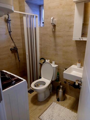 a bathroom with a toilet and a sink at Old town nest in Budva