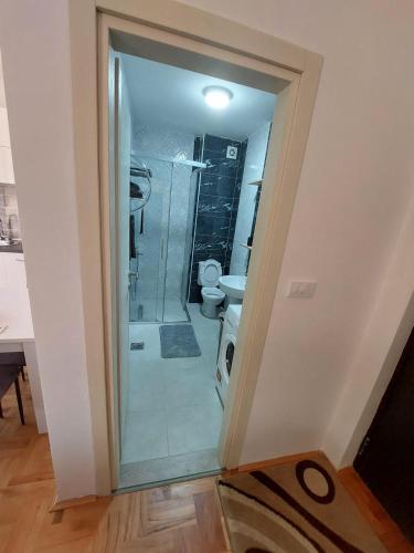 a bathroom with a toilet and a glass shower door at Andrej Apartment with Garage in Bar