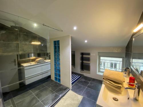 ein Badezimmer mit Dusche, Waschbecken und Spiegel in der Unterkunft Le Savoyard in Saint Etienne