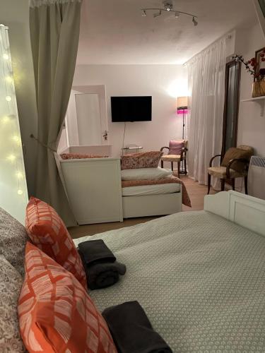 Charming apartment in the heart of Colmar
