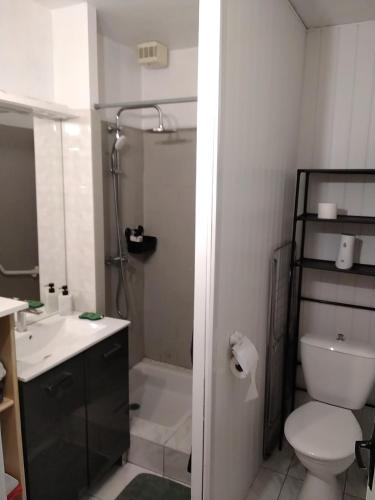 ein Badezimmer mit Dusche, Toilette und Waschbecken in der Unterkunft Le repos beaurepairien in Beaurepaire