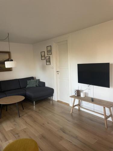a living room with a couch and a flat screen tv at Baekgaarden 3 rooms Apartment - old farm house in Odense