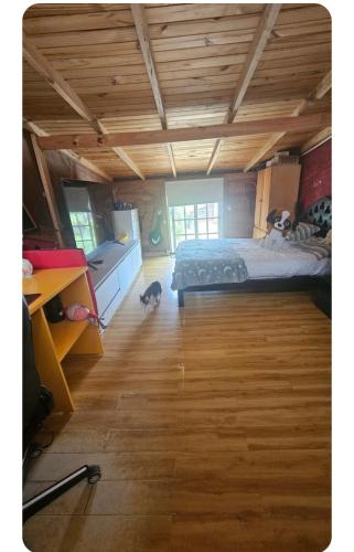 - une chambre avec un lit et un chat à l'étage dans l'établissement China, à Mar del Plata