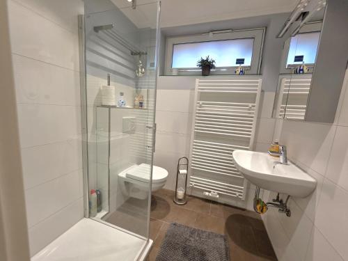 a bathroom with a toilet and a sink and a shower at Ferienwohnung Smutje in Kiel