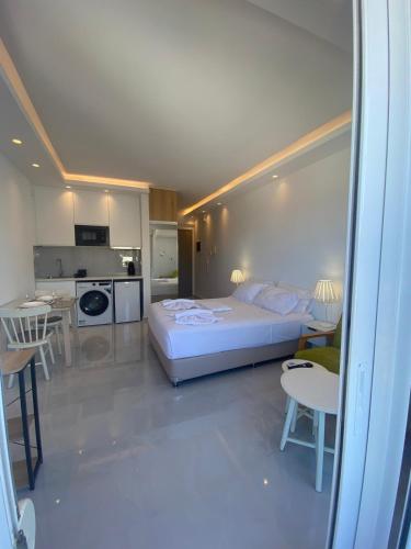 Panoramic View Boutique Suite