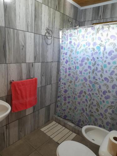 a bathroom with a shower curtain and a toilet at Casita Rosa II in San José