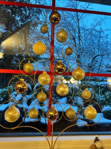 Billede fra billedgalleriet på Comfort Room in Warmbad i Villach