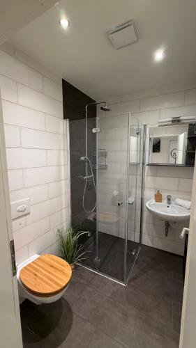 a bathroom with a shower and a toilet and a sink at Mühls Apartments in Bad Lauterberg