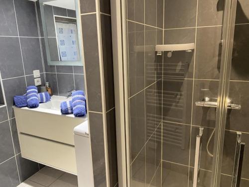 un bagno con doccia e lavandino di La fringante a Pleubian