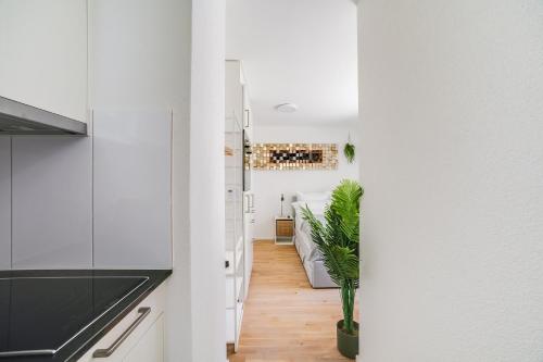 a kitchen with white cabinets and a potted plant at Urban Hideaway Studio St Gallen Center Self Check-In in St. Gallen