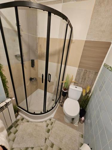 ein Badezimmer mit Dusche und Toilette in der Unterkunft Domowe Zacisze in Szamotuły