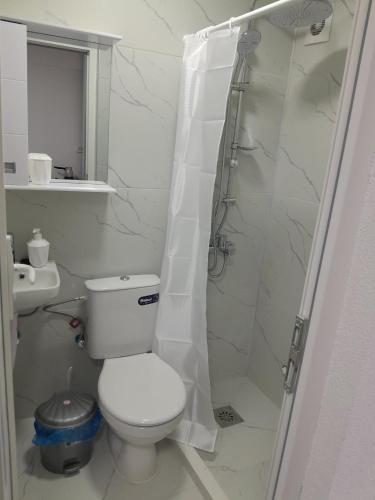 een witte badkamer met toilet en douche bij Tin-Nik Apartments in Kruševo