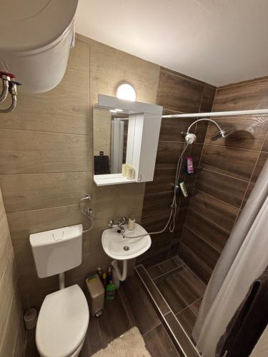 a bathroom with a toilet and a sink at Vilasukovo in Sukovo