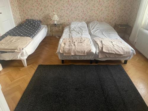 2 Einzelbetten in einem Zimmer mit einem Teppich in der Unterkunft Spacious and charming apartment in central Storvik in Storvik