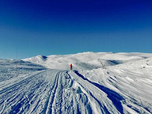 Charming Cabin Overlooking Vegglifjell v zimě