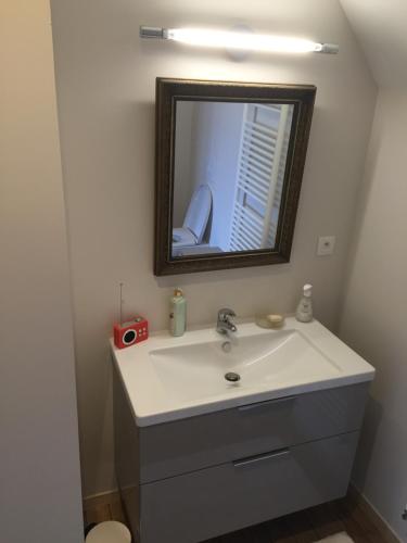 a bathroom with a sink and a mirror at La Carbonnière in Condé-sur-Vire