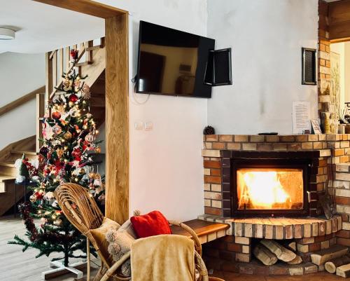 TV a/nebo společenská místnost v ubytování Bieszczady Beztroska Chata