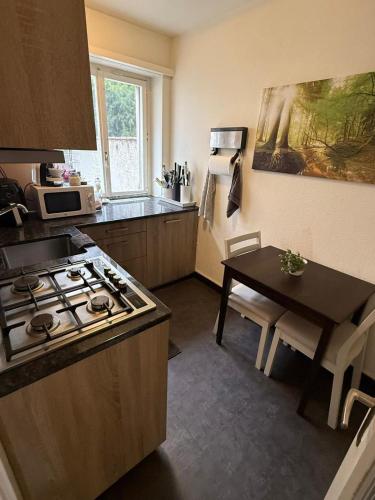 Modern City Apartment Basel