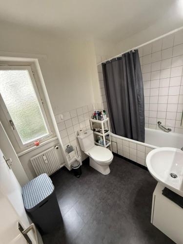 Modern City Apartment Basel
