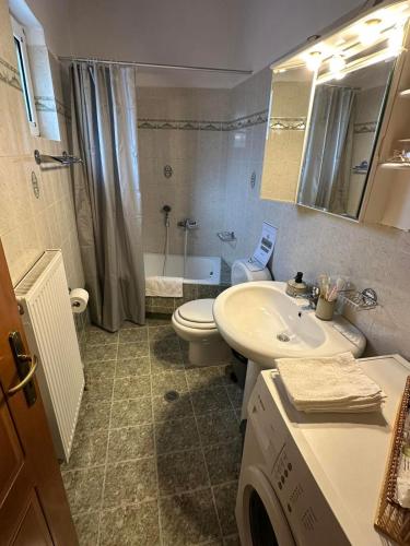 een badkamer met een wastafel, een toilet en een douche bij House by the Mountain in Konitsa