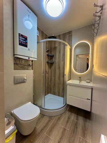 a bathroom with a shower and a toilet and a sink at Karakol 'Ethno' Apartment in Karakol
