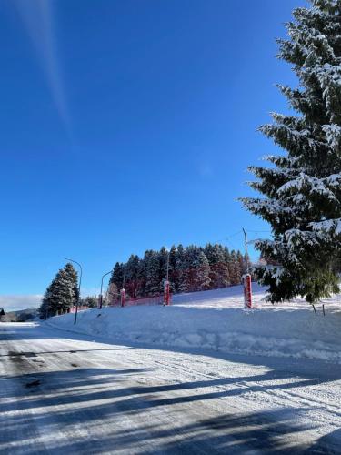 Appartement de montagne - Station du Schnepfenried om vinteren