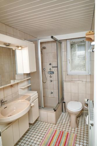 a bathroom with a shower and a toilet and a sink at Schöne Unterkunft mit Billard in Meinerzhagen