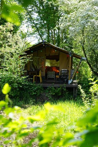 a cabin with a porch in the woods at Glamping De Helleborus in Groningen