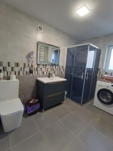 een badkamer met wastafel en wasmachine bij Стрийський Двір in Tsjernivsi