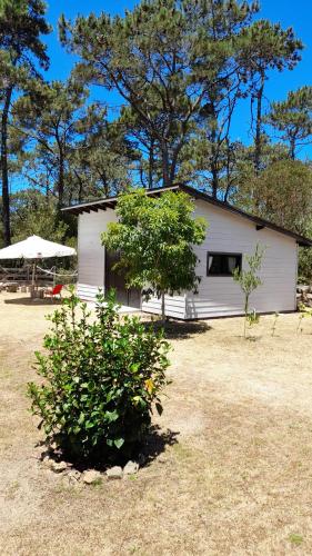 ein weißes Haus mit einem Baum davor in der Unterkunft Tiny Moor Laguna Garzón in José Ignacio