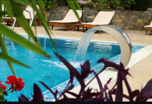 Swimmingpoolen hos eller tæt på Apartman Đorđevic