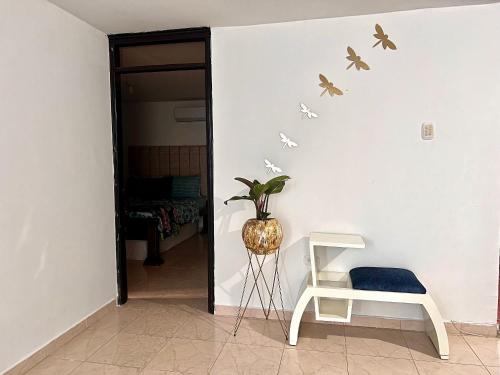 una stanza con una sedia, una pianta e delle farfalle sul muro di Apartamento cerca del Centro y Clínicas a Valledupar