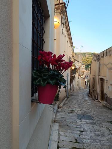 a pot of red roses on the side of a building at Casetta Santa Venera in Modica